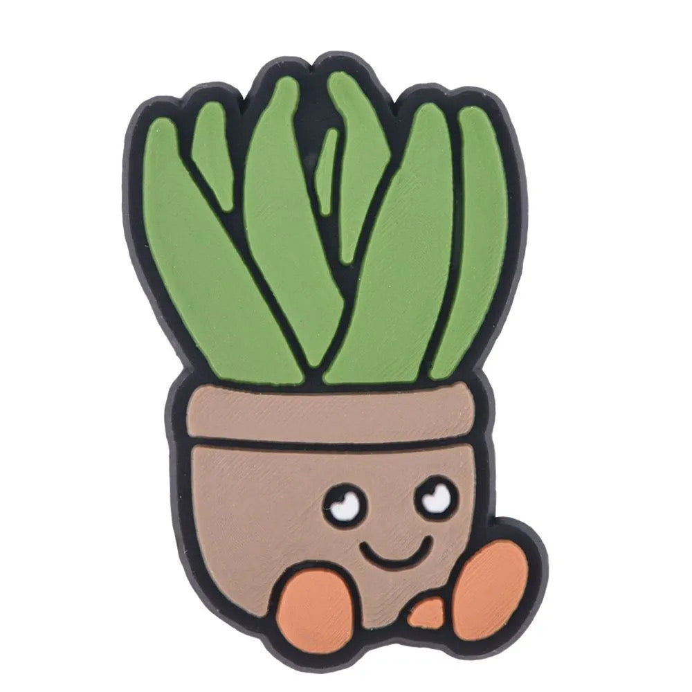 Aloe Plant
