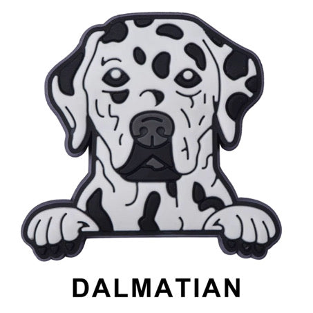 Dalmation