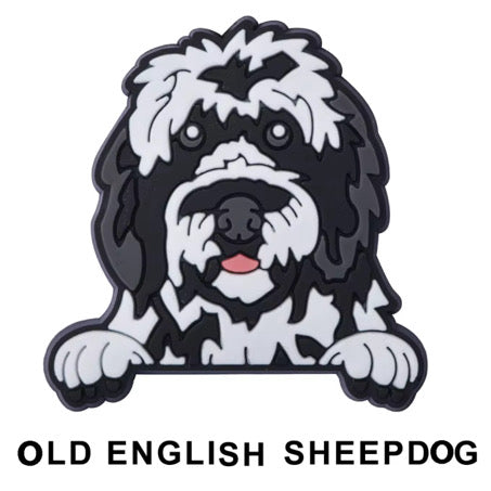 Old English Terrier