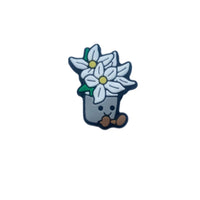 Poinsitta