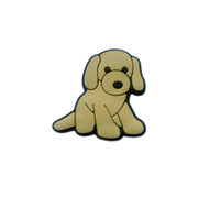 Golden puppy