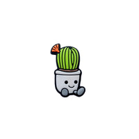 Small Cacti Pot