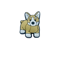 Surprised Corgi