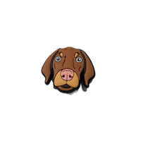 Vizsla
