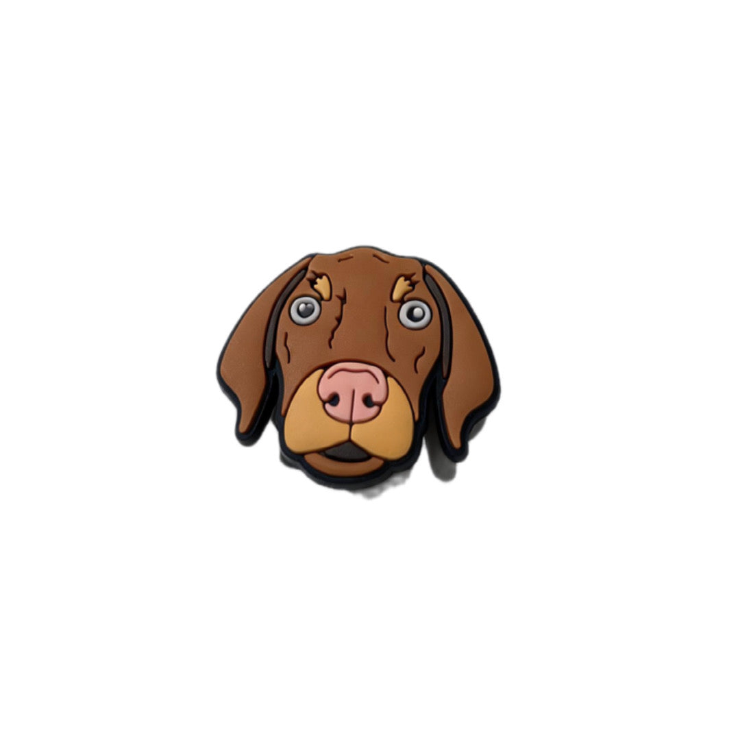 Vizsla