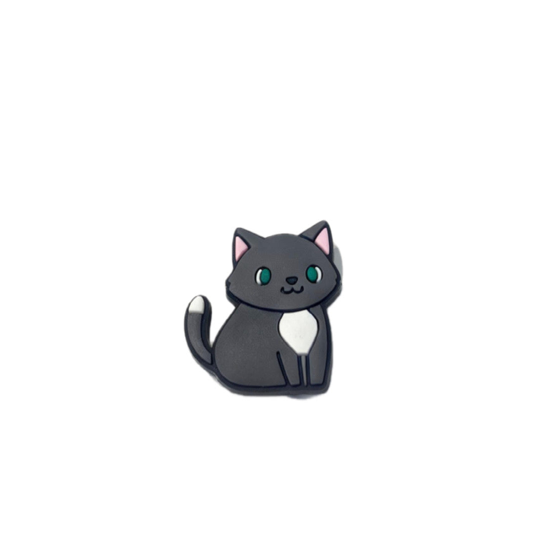 Grey and White Cat