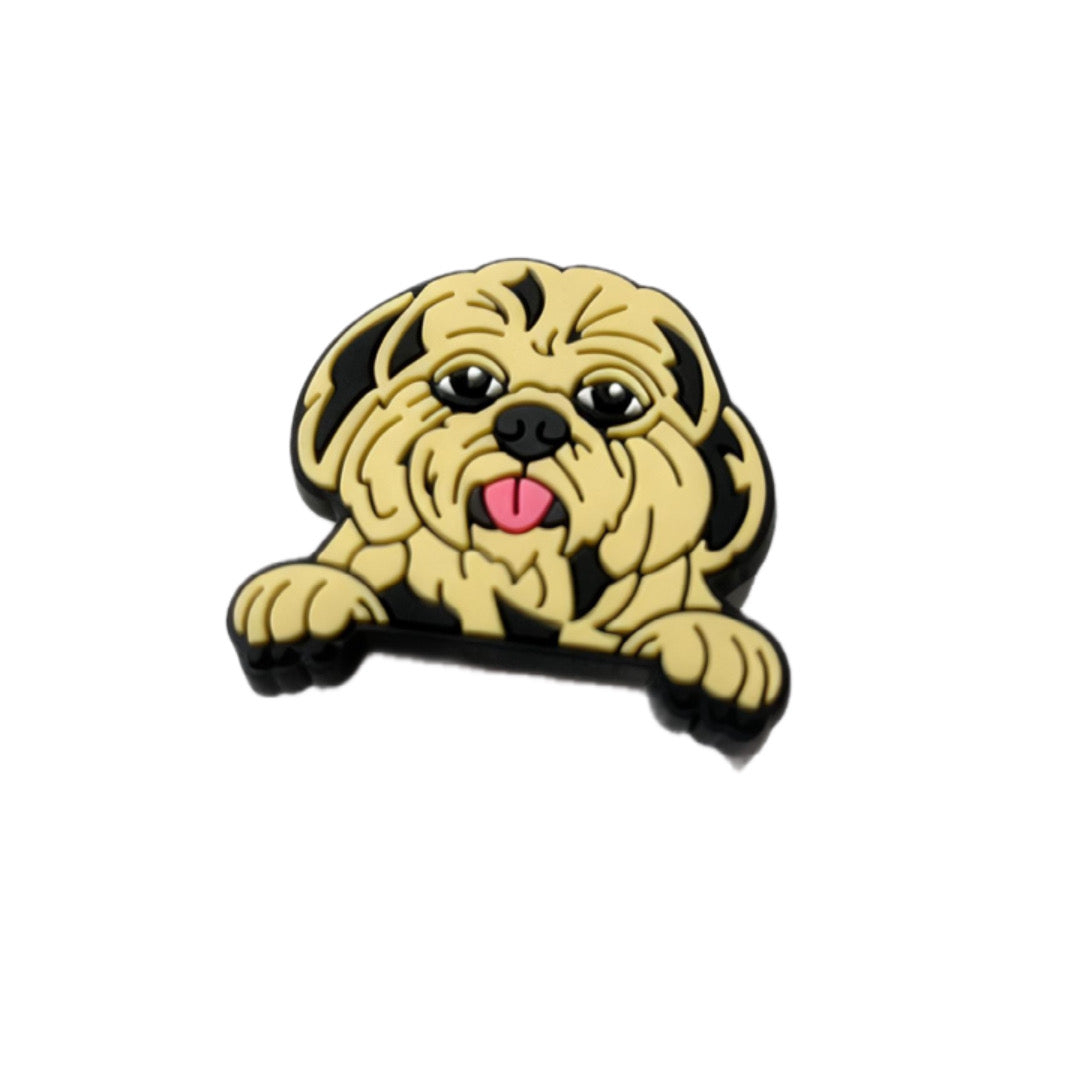 Shih tzu dog