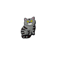 Grey Tabby Cat