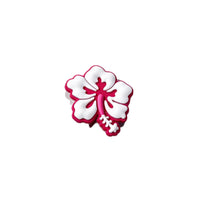 Pink and White Flower