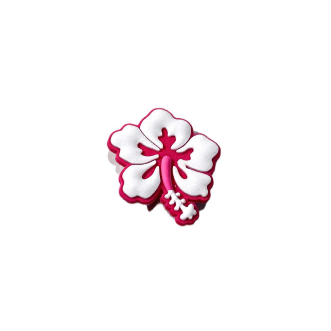 Pink and White Flower