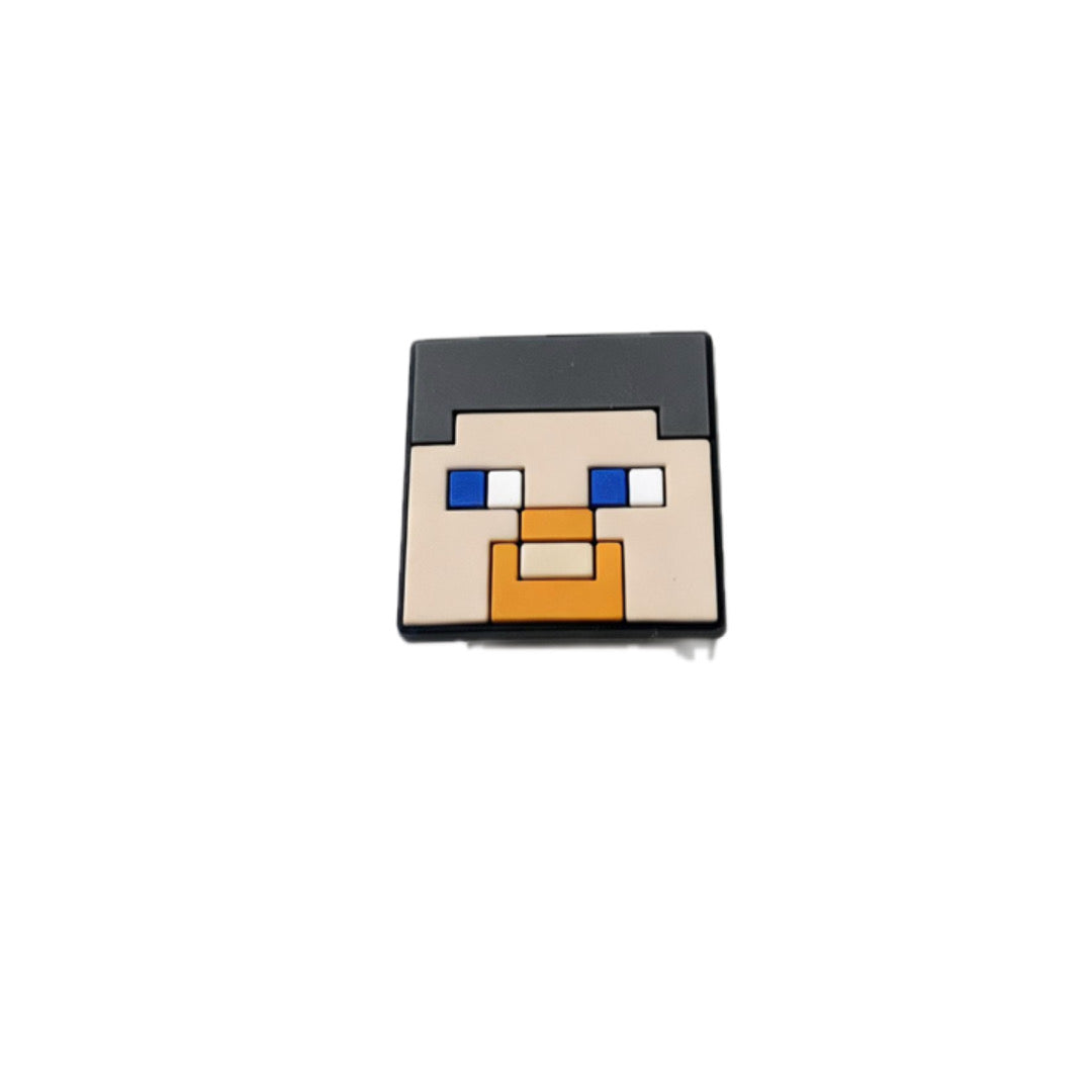 MC - Steve Face