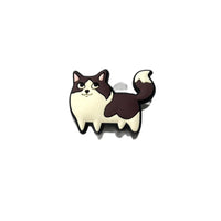 Ragdoll Cat