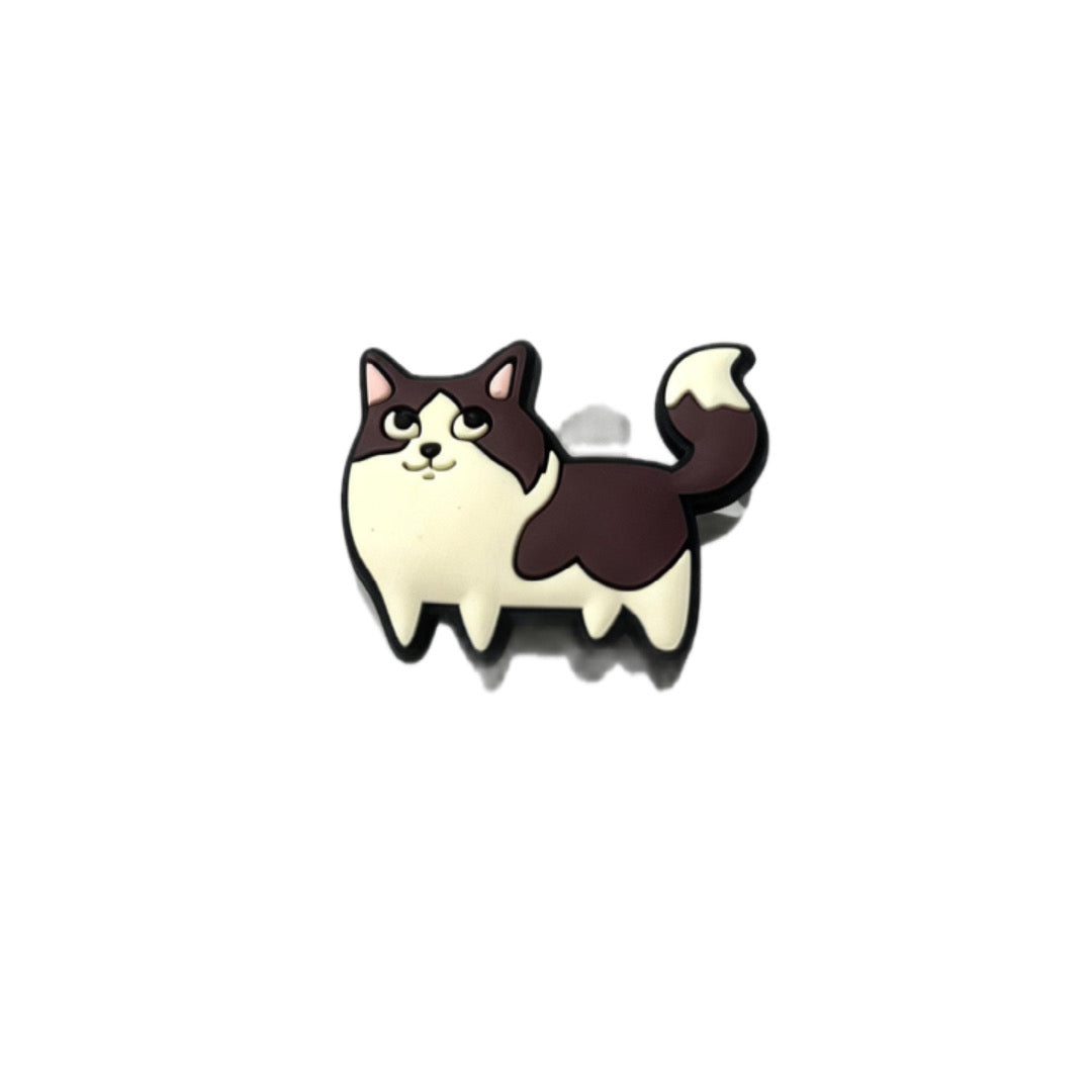 Ragdoll Cat