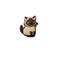 Siamese Cat